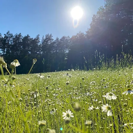 Rozana Zagroda Hébergement de vacances Osiek (Pomerania)