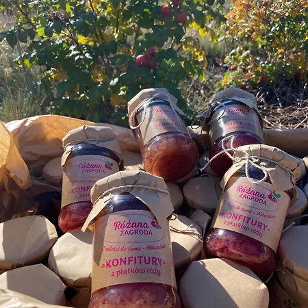 Rozana Zagroda Hébergement de vacances *