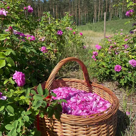 Σπίτι διακοπών Rozana Zagroda