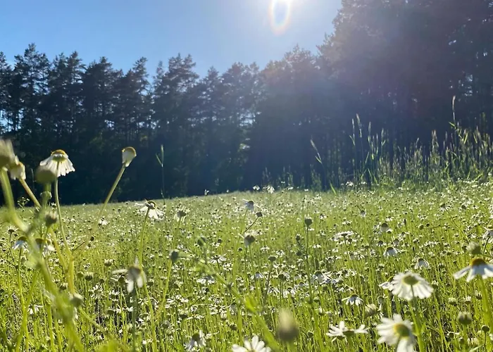 Rozana Zagroda Casa vacanze Osiek (Pomerania)