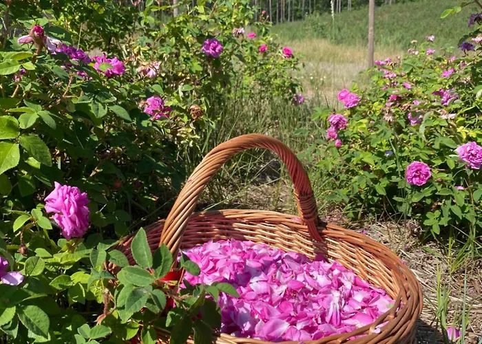 Casa vacanze Rozana Zagroda